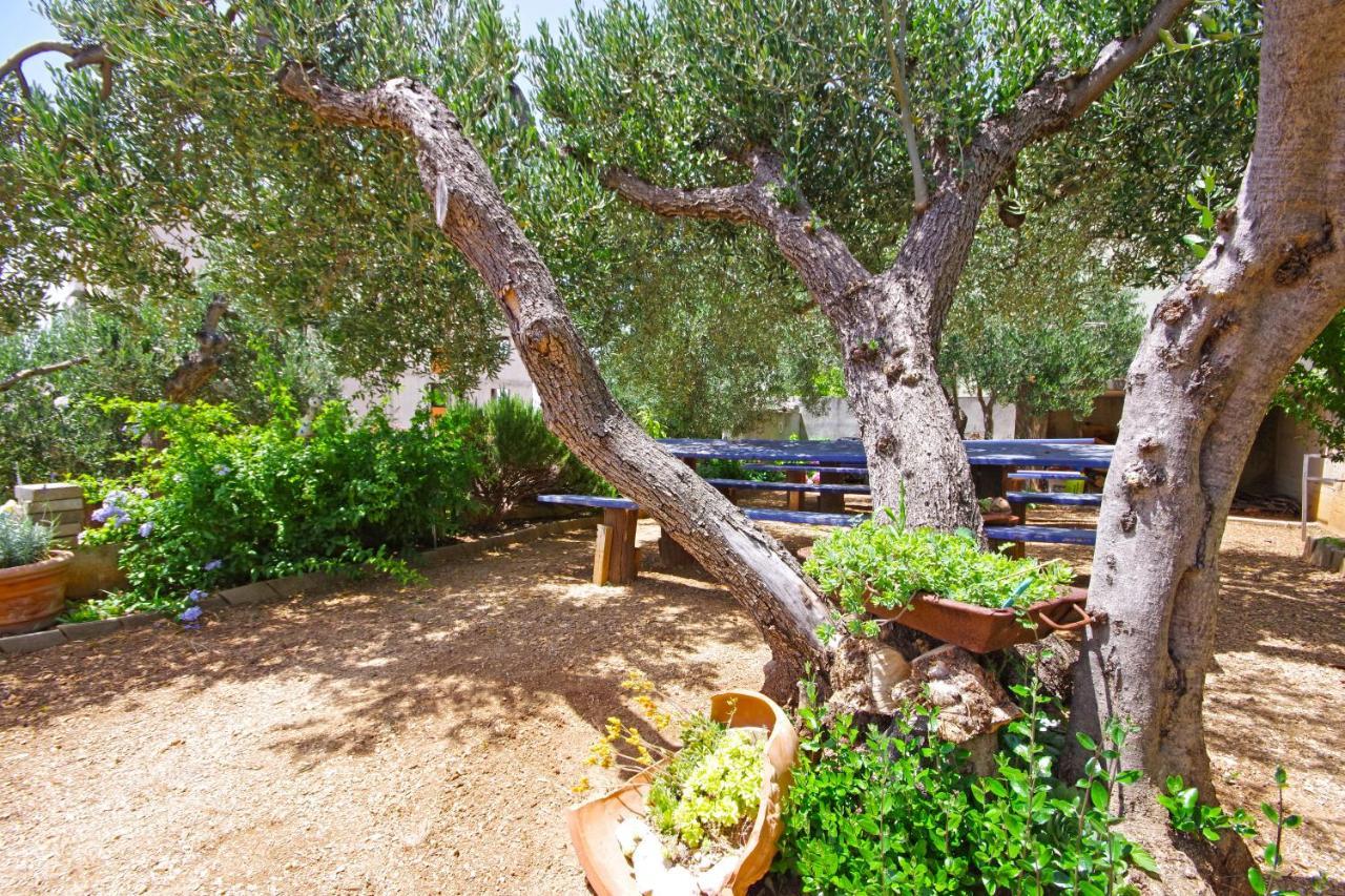 Matanovi Dvori Md Apartments Makarska Buitenkant foto